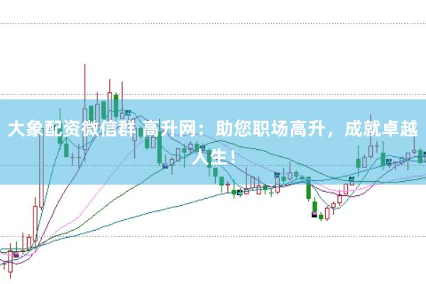 大象配资微信群 高升网：助您职场高升，成就卓越人生！
