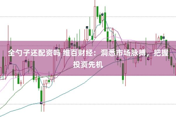 全勺子还配资吗 维百财经:洞悉市场脉搏,把握投资先机