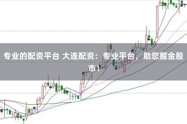 专业的配资平台 大连配资：专业平台，助您掘金股市！
