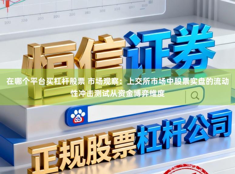 在哪个平台买杠杆股票 市场观察：上交所市场中股票实盘的流动性冲击测试从资金博弈维度
