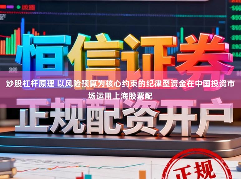 炒股杠杆原理 以风险预算为核心约束的纪律型资金在中国投资市场运用上海股票配
