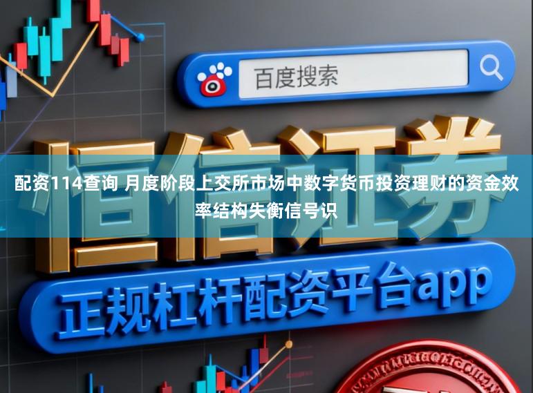配资114查询 月度阶段上交所市场中数字货币投资理财的资金效率结构失衡信号识