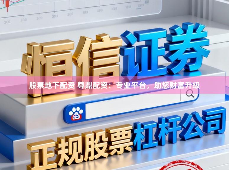 股票地下配资 尊鼎配资：专业平台，助您财富升级